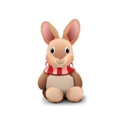 Plush rabbit isolated on white background for your creativity