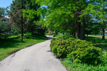 Fototapeta na wymiar Green Tree and Plant Lined Path at Ping Tom Memorial Park in Chinatown Chicago