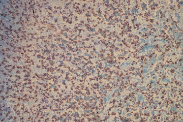 abstract stone background