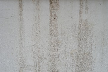 white wall background