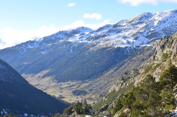 montaña de los alpes nevados en sus picos y bosques de pino a media altura