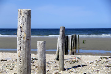 Wooden poles on a sandy beach