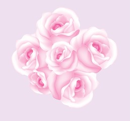 Bouquet of Pink Roses on light purple background