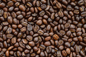Fototapeta premium coffee beans backgrounds