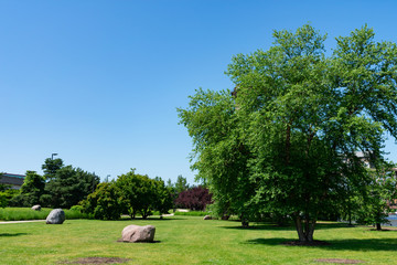 Rocks with Green Trees and Open Space at Ping Tom Memorial Park in Chinatown Chicago