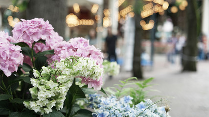 花束のようなあじさいの花壇