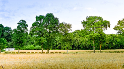 Farmland meadow with straw bale at sunset. Brittany, France