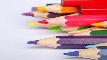 Close up of color pencil ficus on purple pencil