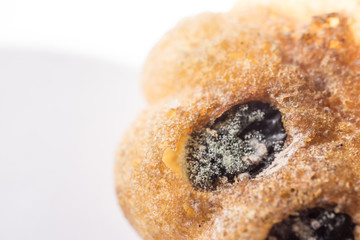 Black spots mold fungus on bakery,bacteria disease,healthy concept.
