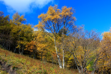 mountain natural scenery
