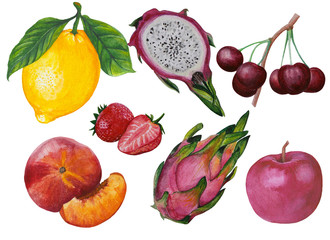Set, collection, kit of exotic fruits in watercolor on white. Hand drawn cherry, peach, strawberry, apple, lemon, dragon fruit