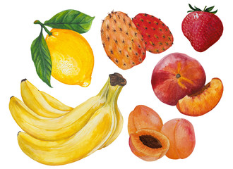 Set, collection, kit of exotic fruits in watercolor on white. Hand drawn prickly pear, banana, peach, strawberry, apricot, lemon
