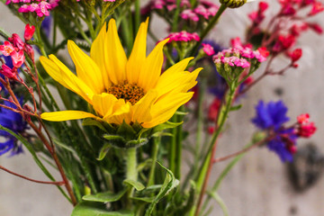 Bouquet of field flowers with sunflower chamomile, cornflowers