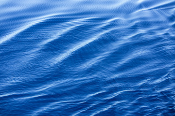 close up of a calm wave in the ocean in a soft backlight
