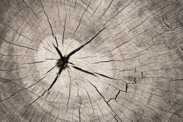 Old wood texture or background	