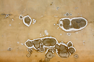 white salted texture on cement wall