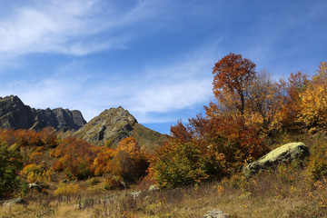 autumn in the Caucasian mountains