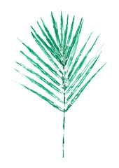 isolated green palm leaf watercolor, plant illustration on white background
