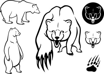 Obraz premium Polar Bear Set