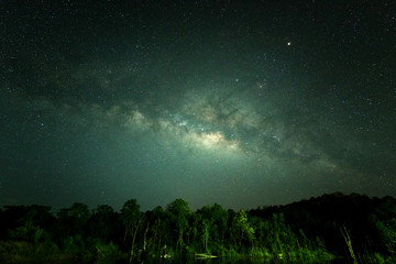 Sky at night with many star in the winter over forest, Beautiful clear sky at night, Wonderful...