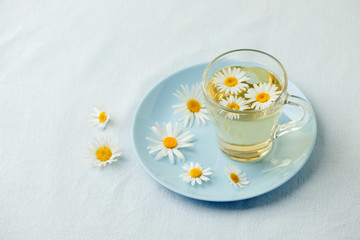 Herbal tea with fresh chamomile flowers in glass teacup on blue plate, seasonal colds flu alternative treatment, antidepressant and a remedy stomach cramps