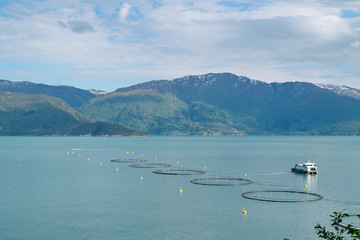 Obraz premium Salmon farm in a fjord between mountains in Western Norway Hardanger fjord area at summer.