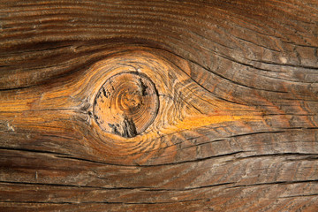 Woodiness grain