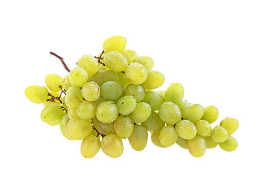Bunch of grapes with water drops isolated on white background
