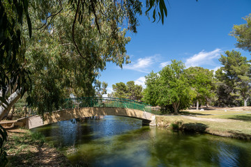 Fototapeta premium lake in the park