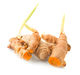 turmeric root isolated on white background