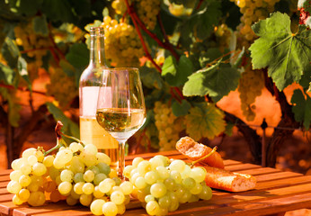 still life with glass of White wine grapes and bread on table in field