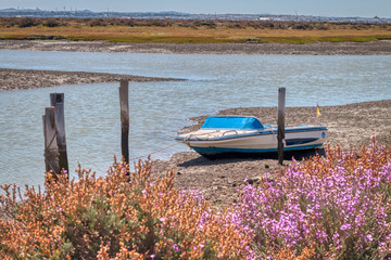 Boat stranded next to a river