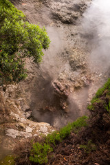 Details of the thermal spa, Furnas, Sao Miguel