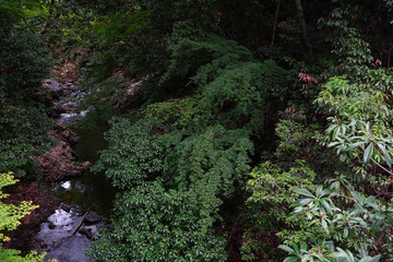 Obraz premium Landscape of Minoh