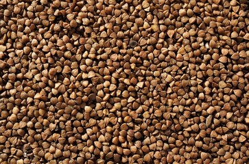 background of buckwheat