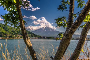 Fototapeta na wymiar Kawaguchiko - May 24, 2019: Mount Fuji seem from lake Kawaguchi, Japan