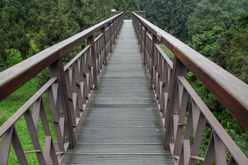 Fototapeta na wymiar The walkway from wood in alishan national park at taiwan