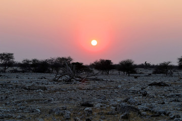 beautiful sunset - Namibia Africa