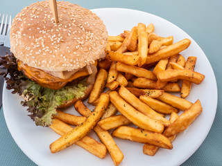 sandwich with very seasoned meat burger in a plate with french fries