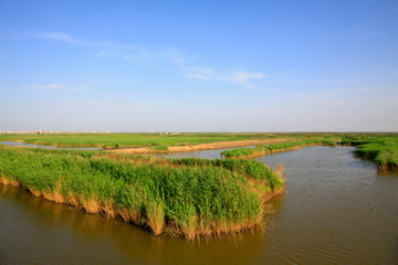 Hebei caofeidian golf course landscape