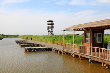 Wetland park scenery
