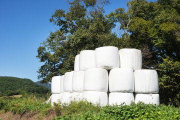 Dry hay bale in white plastic bag.