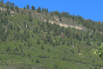 Fototapeta na wymiar Baldy Peak Mountain Ouray Colorado
