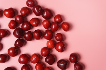 Red sweet cherry scattered on a pink background