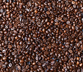 coffee grains background and texture