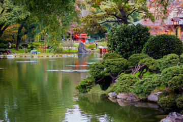 Fototapeta premium Japanese Garden