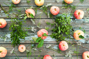 Fresh organic apples and blueberry twigs on wooden boards, top view
