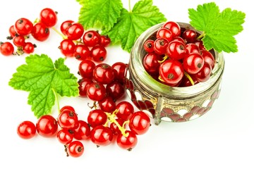 Fresh red currant berries on a white background. Red currant in  bowl with green leaf. Healthy food.