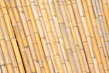 Bamboo split together