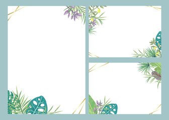Fototapeta na wymiar Cards / templates with palm leaves